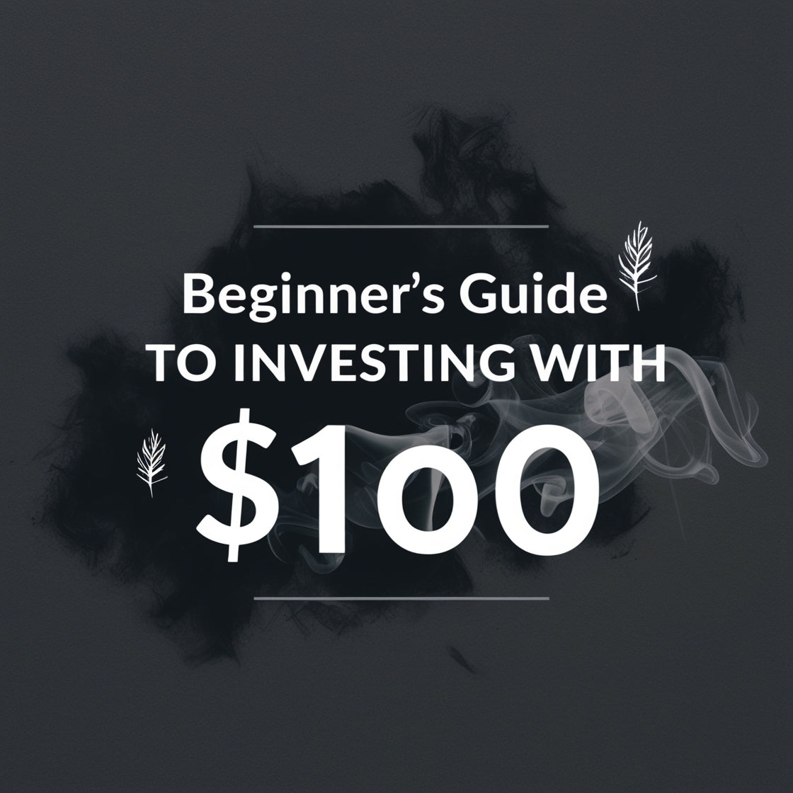 “Beginner’s Guide to Investing with $100”